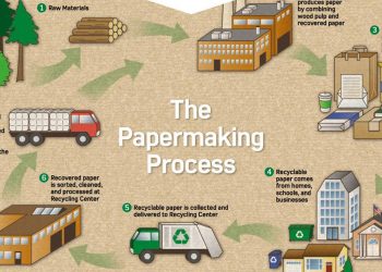Từ rác thải đến năng lượng sinh học: Kỷ nguyên mới của ngành sản xuất giấy