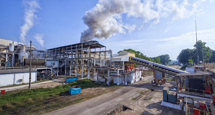 Bộ Chính trị: Khuyến khích phát triển điện từ rác thải, sinh khối, khí dư