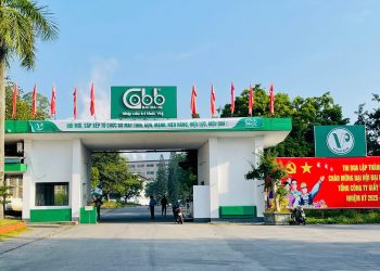 VINAPACO mạnh mẽ tái cơ cấu tăng cường quản trị doanh nghiệp