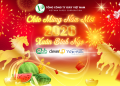 VINAPACO chúc mừng năm mới 2026 Xuân Bính Ngọ