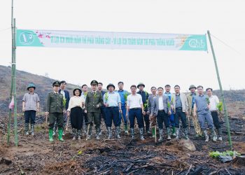 VINAPACO ra quân trồng cây đầu Xuân Bính Ngọ 2026