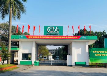 Tổng công ty Giấy Việt Nam (VINAPACO) đẩy mạnh tuyên truyền về bầu cử đại biểu Quốc hội khóa XVI và bầu cử đại biểu Hội đồng nhân dân các cấp nhiệm kỳ 2026–2031!