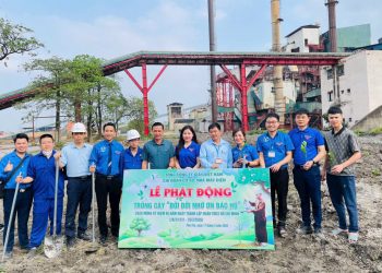 Tuổi trẻ VINAPACO sôi nổi Tháng Thanh niên 2026