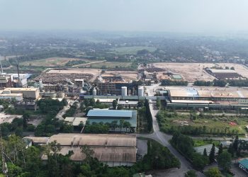 Giấy Bãi Bằng – Chất lượng xanh từ thương hiệu phát triển bền vững