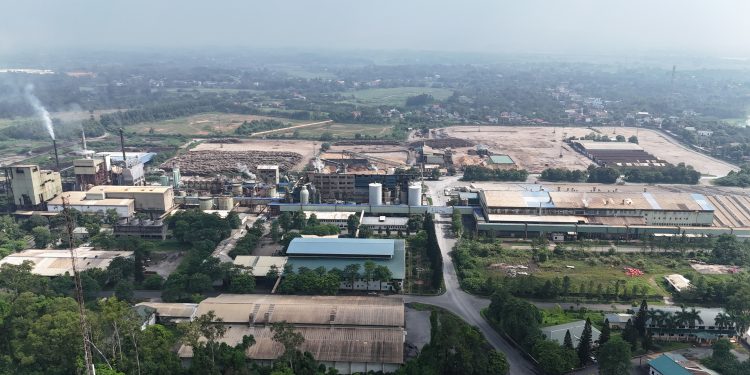 Giấy Bãi Bằng – Chất lượng xanh từ thương hiệu phát triển bền vững