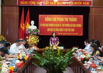 Thứ trưởng Bộ Công Thương làm việc tại Tổng công ty Giấy Việt Nam