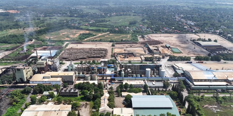 Chuyển đổi số thúc đẩy VINAPACO phát triển