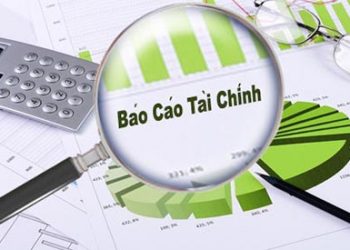 Báo cáo tài chính Công ty mẹ – Tổng công ty Quý II năm 2026